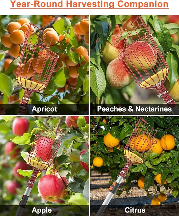 AgiiMan 5 to 20 FT Fruit Picker Pole - Reach to 26 FT Fruit Picker with Telescopic Extension Pole, Lightweight and Sturdy Aluminum Telescopic Pole, Easy to Assemble Fruit Picking Basket
