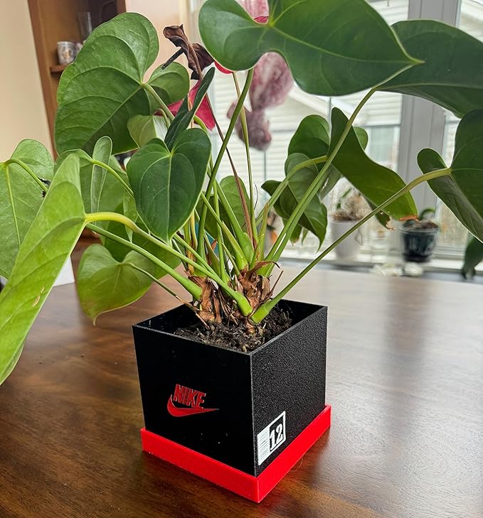 Shoebox-Style Planter Pot (Black, White and Red) Indoor Outdoor Usage