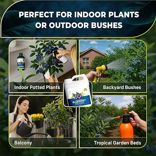 Leaves and Soul Professional Blueberry Fertilizer Liquid Concentrate - 6-4-6 Blend Liquid Garden Fertilizer for Blueberry - Plant Food for Blueberry Bushes and Plants - 32oz