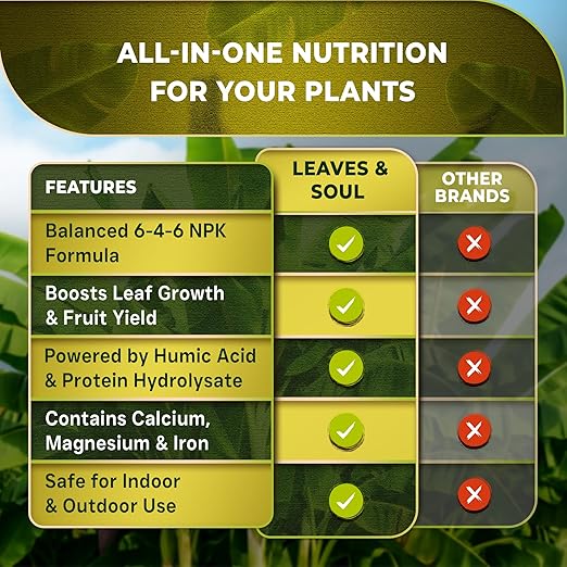 Leaves and Soul Professional Banana Tree Fertilizer Liquid Concentrate - 6-4-6 Blend for Fruit Tree Fertilizer, Garden - Liquid Plant Food for Banana Trees in Pots or Outdoors - 8oz
