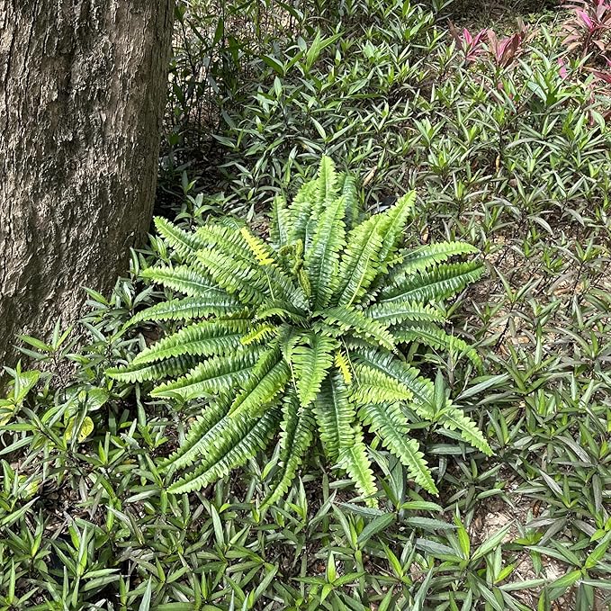 Artificial Ferns for Outdoors & Indoors, 45in Large Fake Ferns Plants with 55 Fronds & Fiddlehead - 2 Stems Looks Real Faux Fern Greenery for Porch Garden Home Office Decor