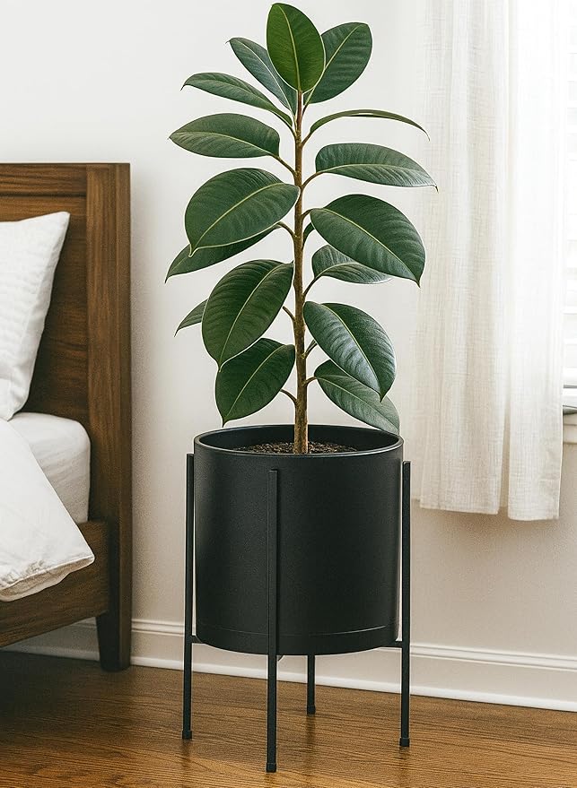 D'vine Dev 12 Inch Black Planter Pot with Stand – Modern Plastic Cylinder Flower Pot with Heavy-Duty Metal Stand for Indoor Plants, 55-D-B-3
