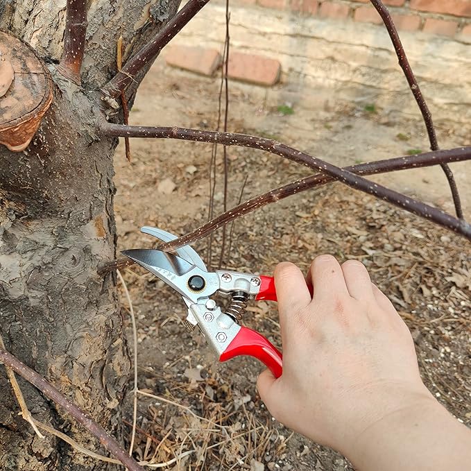 Pruning Shears for Gardening, Garden Scissors and Clippers, Professional Branch Garden Secateurs (Red)