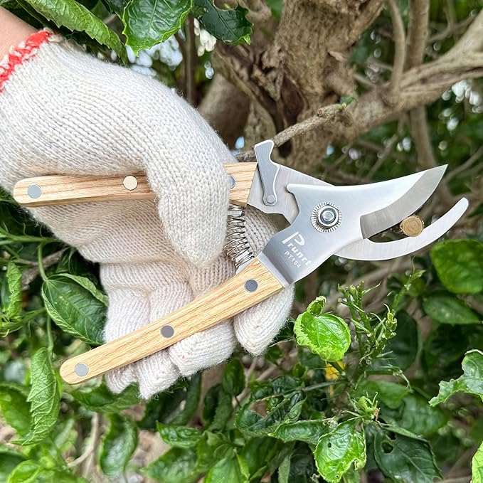 Pruning Shears, 7.5 Inch Garden Shears with 5/8 Inch Cut Capacity, Wood Clip Steel Handle, Professional Garden Clippers and Gardening Scissors, with Spare Spring