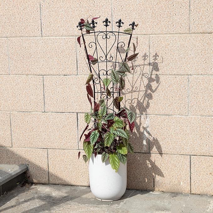 Heavy Duty Indoor Trellis for Climbing Plants Set of 3 – 31x12 Inches Premium Iron Plant Support for Garden, Balcony, and Indoor Spaces – Perfect for Monstera and Other Houseplants