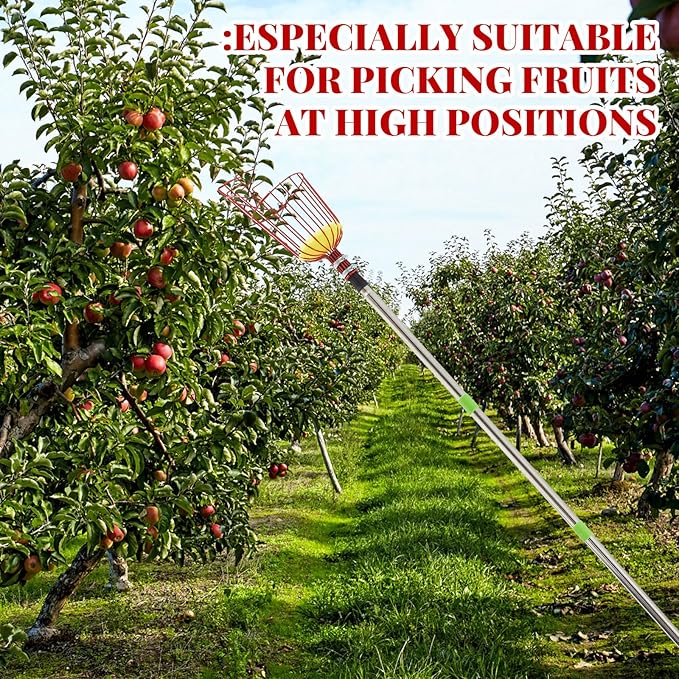 19.5ft Adjustable Fruit Picker Pole with Basket Long Handle with Storage Bag and Gloves Fruit Picker Equipment for Lemons Apples Avocados Picking(Red)