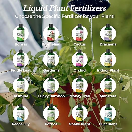 Professional Liquid Succulent Plant Fertilizer | 3-1-2 Concentrate for Plants and Flowers | Multi-Purpose Blend & Gardening Supplies | 8 oz Bottle