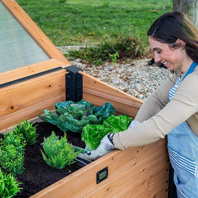 Backyard Discovery Aggie 4' x 2' Cedar Wood Cold Frame Portable Mini Greenhouse, Raised Garden Planter with Temperature-Activated Polycarbonate Lid, Mesh Drainage for Year-Round Outdoor Gardening