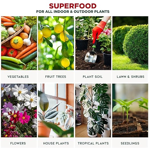 GARDENERA Premium Organic Seaweed & Kelp Superfood for Lavender Plants - 8 oz - Liquid Kelp Fertilizer Concentrate (Makes 45 Gallons)