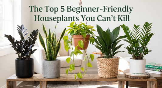The Top 5 Beginner-Friendly Houseplants You Can't Kill