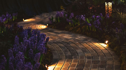 5 Ways Solar Path Lights Can Instantly Boost Your Home’s Curb Appeal