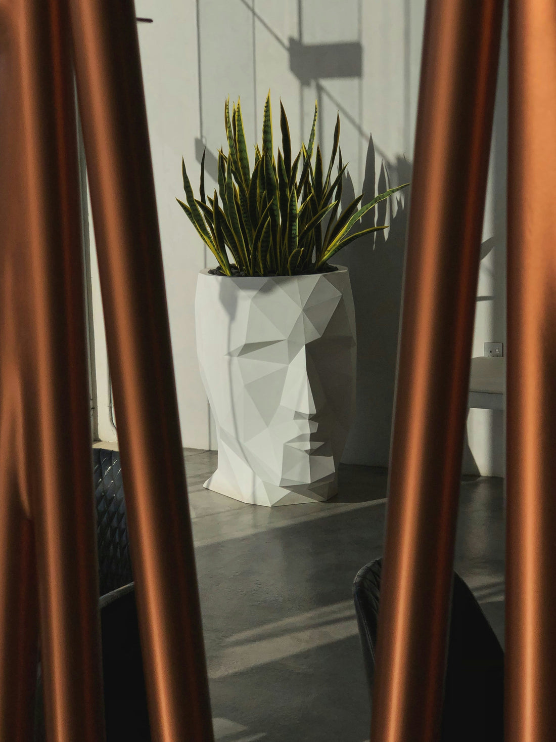 Creating a Focal Point: Using Large Geometric Pots in Modern Spaces