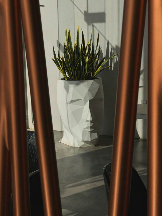 Creating a Focal Point: Using Large Geometric Pots in Modern Spaces