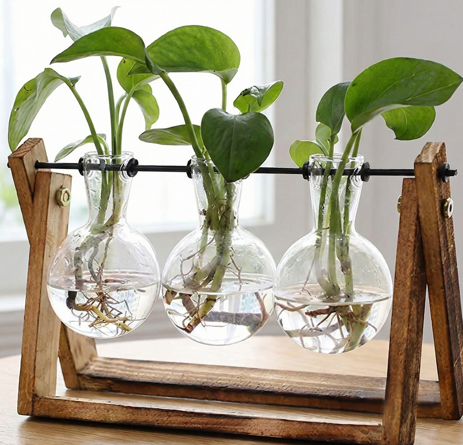 Propagation Stations