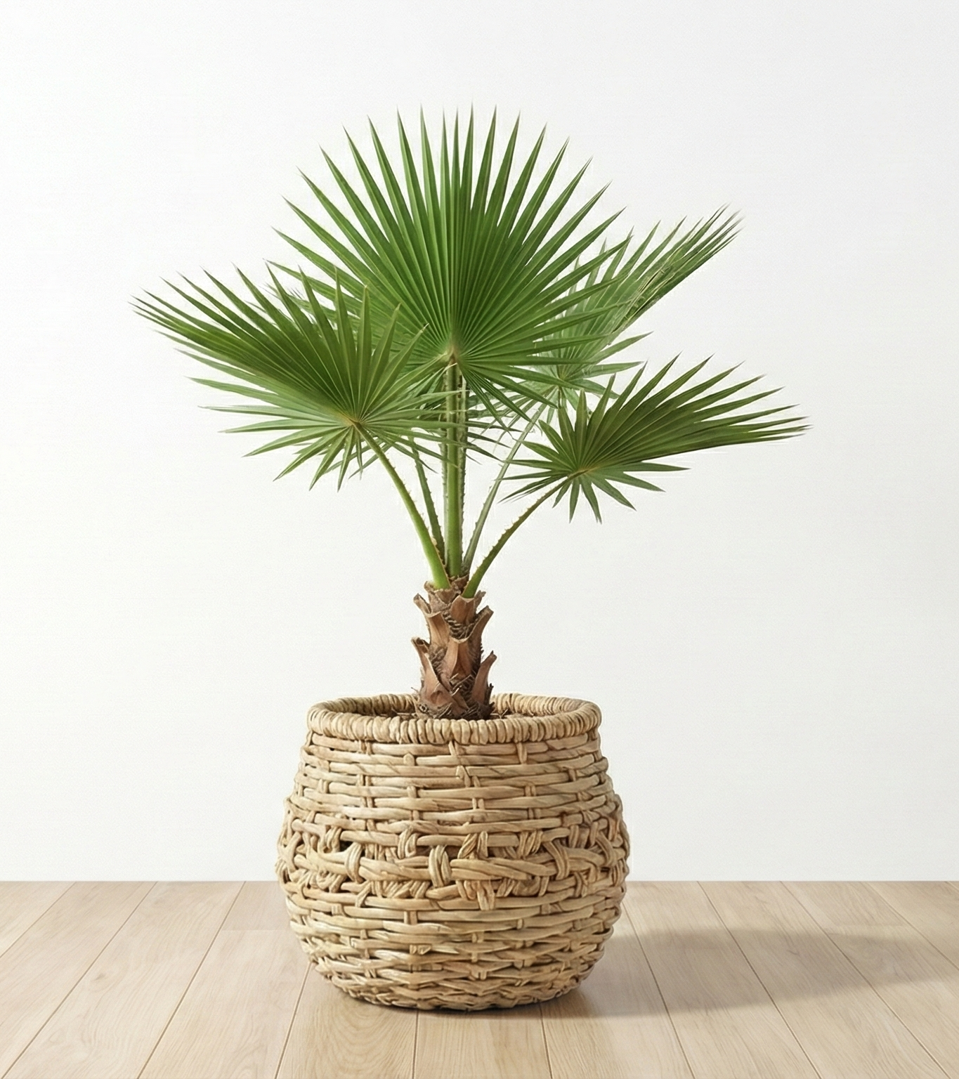 Rattan & Woven Baskets
