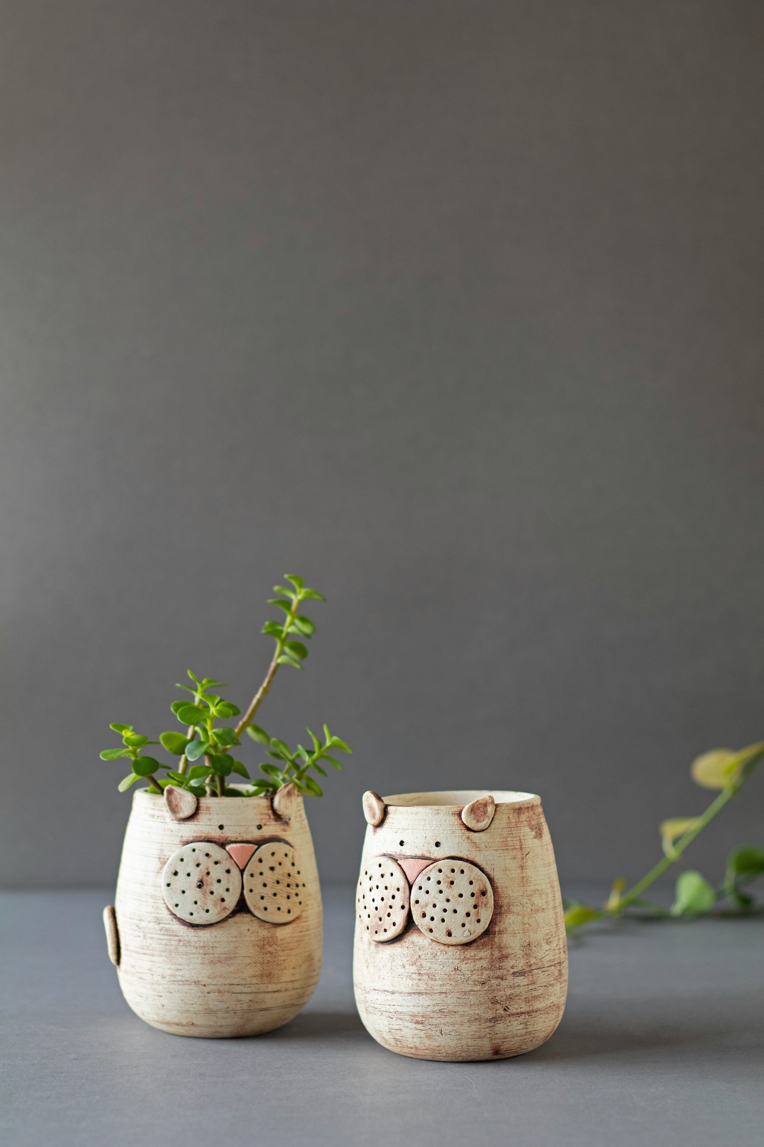 Nursery Starter Pots