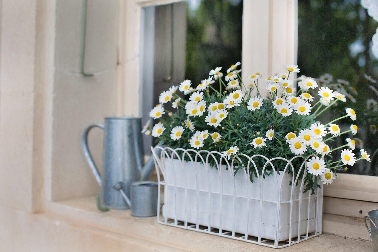 Window Sill Planters