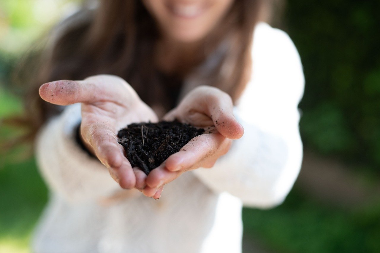 Organic Potting Mix