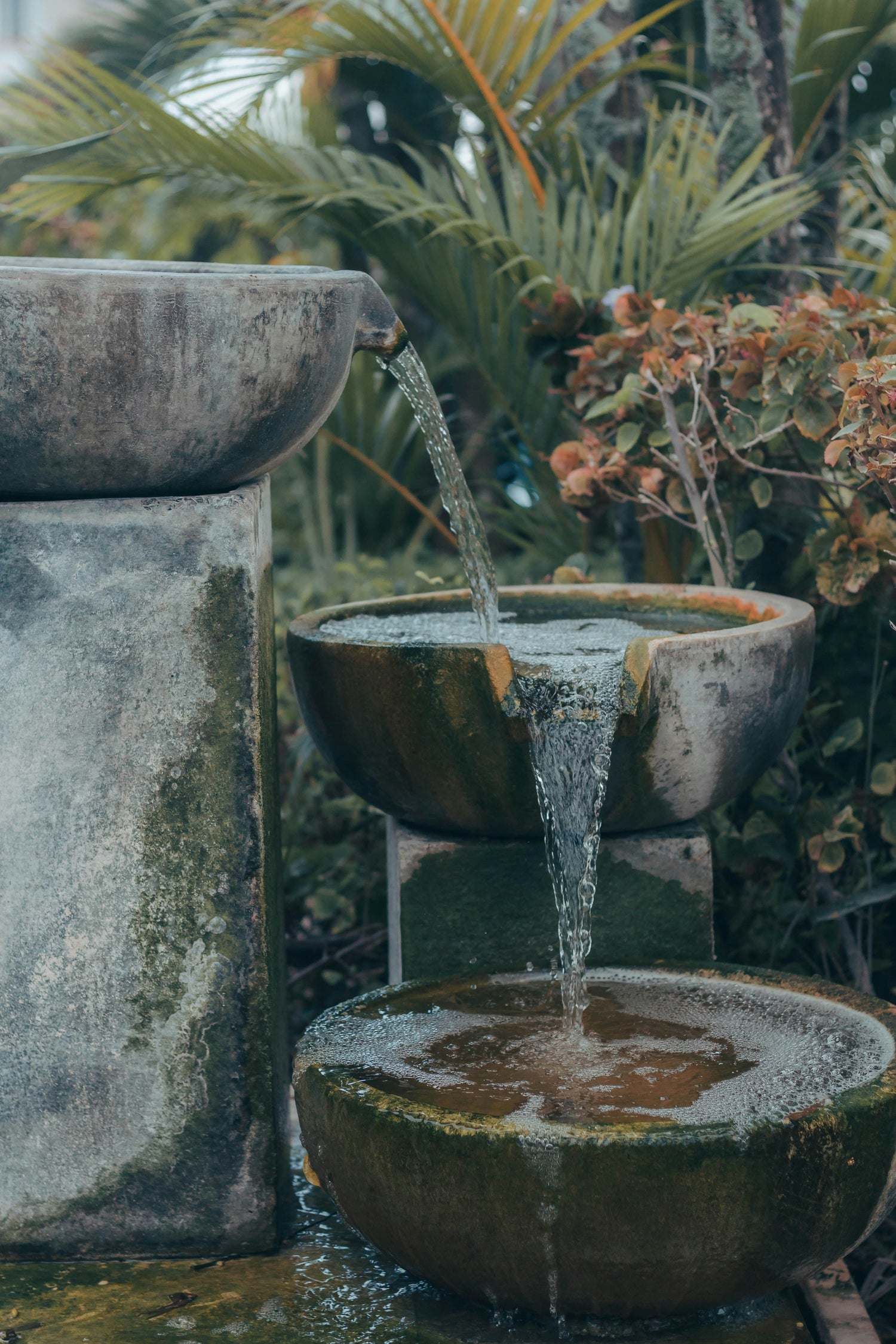Self-Watering Pots