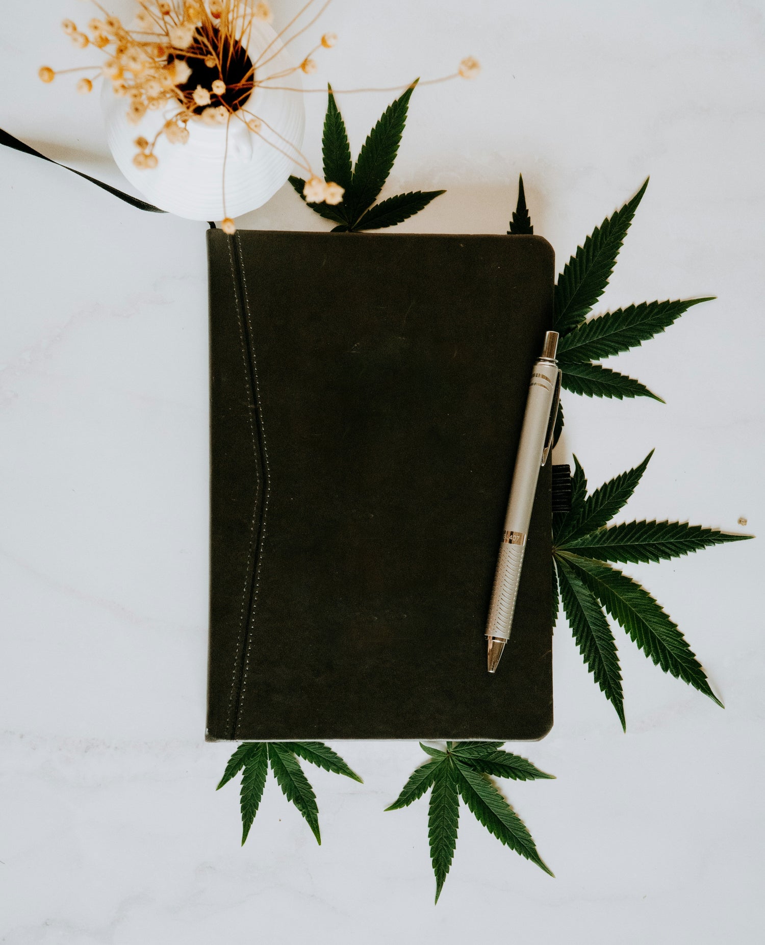 Plant Care Journals