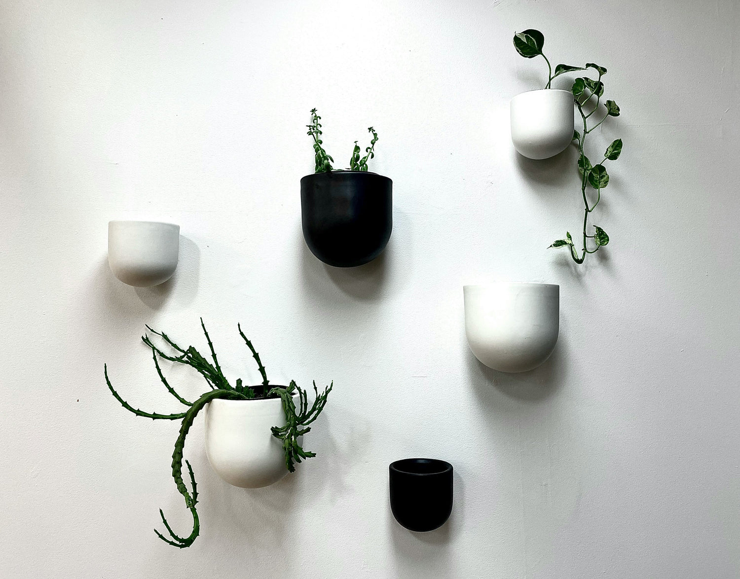 Wall Mounted Pots
