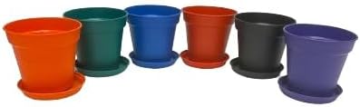 Mintra Home Garden Pots - Flowers, Herbs, Plants, Indoor, Outdoor, Colorful, Wholesale, Bulk (Assorted 6pk, 11cm Diameter (4.3in))