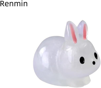 12Pcs Luminescent Mini Resin Animals, Mini Rabbits Figurines, Small Resin Rabbit Miniature Statues,polyresin Statue Fairy Tale Gardens, DIY Decorations Tiny Raccoons.Polyresin Statue