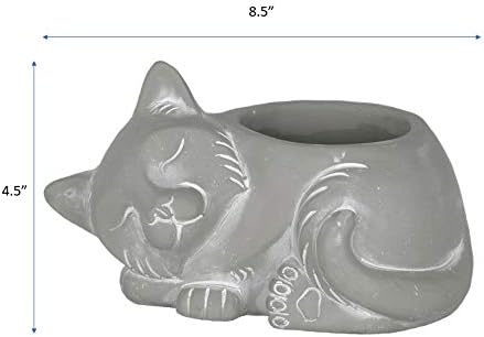 Classic Home and Garden Cement Buddies Animal Planter - Cute Desk Decoration - UV Coated Animal Vase w/Drain Plug - Succulent Plant Pot for Indoor/Outdoor Use (Cat Planter, Natural, Large)