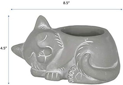 Classic Home and Garden Cement Buddies Animal Planter - Cute Desk Decoration - UV Coated Animal Vase w/Drain Plug - Succulent Plant Pot for Indoor/Outdoor Use (Cat Planter, Natural, Large)