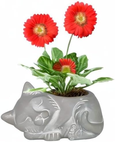 Classic Home and Garden Cement Buddies Animal Planter - Cute Desk Decoration - UV Coated Animal Vase w/Drain Plug - Succulent Plant Pot for Indoor/Outdoor Use (Cat Planter, Natural, Large)