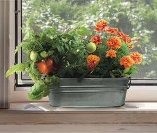 Buzzy Seeds My First Garden Windowsill Grow Kit, Tomato and Marigold Seeds, Indoor Gardening Starter Set for Beginners, Fun DIY Planting Project Gift, New Home Present