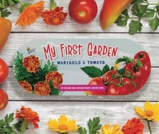 Buzzy Seeds My First Garden Windowsill Grow Kit, Tomato and Marigold Seeds, Indoor Gardening Starter Set for Beginners, Fun DIY Planting Project Gift, New Home Present