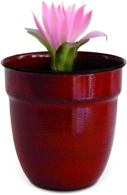 Headwind Glazed Ironstone Boutique Collection Plant Pot Indoor – Mini Venti 5 Inch – Sangria Color Flower Pots for Indoor Plants - Glazed Pots for Plants by Robert Allen