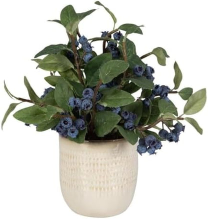 Uttermost 60215 Blueberry Fields - Planter-12 Inches Tall and 10 Inches Wide
