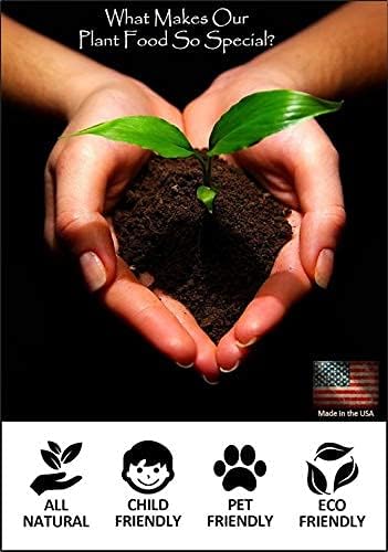 EarthPods® Organic African Violet Fertilizer Spikes – 100 African Violet Food Capsules - Made in USA