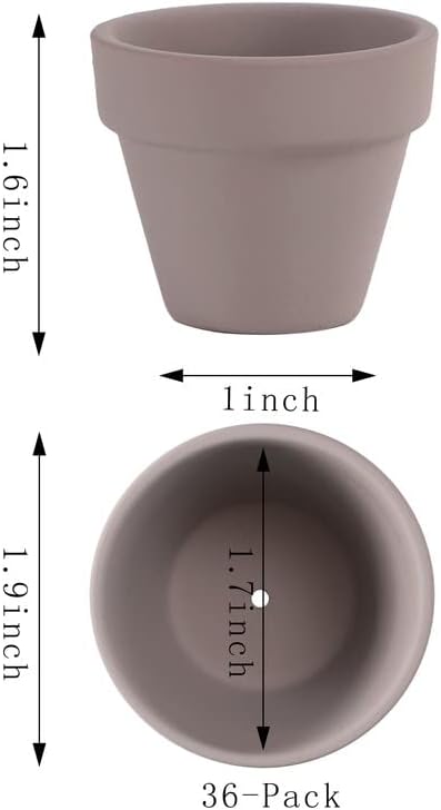 Yishang 1.9 Inch Tiny Grey Terracotta Pots Pack of 36-Small Mini White Clay Pots with Drainage Holes Flower Nursery Terra Cotta Planter for Tiny Cactus,Herb,Succulent Plants,Crafts