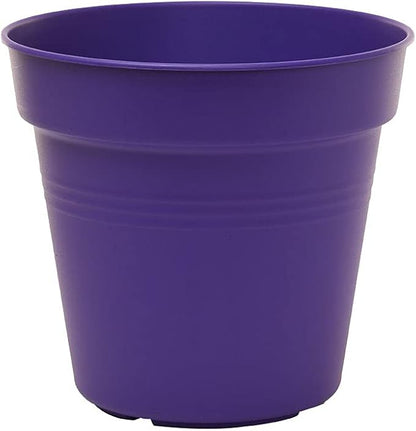 Mintra Home Garden Pots 4pk - Flowers, Herbs, Plants, Indoor, Outdoor, Colorful, Wholesale, Bulk (Purple, 19cm Diameter (7.5in))