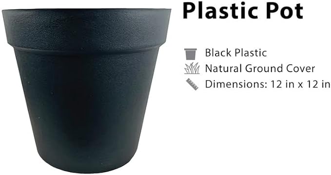 10ft Artificial Ficus Tree in Black Plastic Pot - Real Wood Trunk, Preassembled, No Maintenance Indoor Faux Plant - Living Room, Home & Office Decor