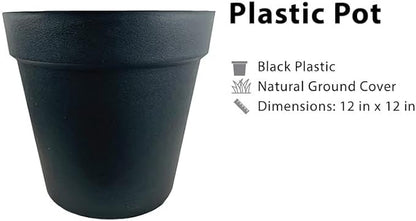 10ft Artificial Ficus Tree in Black Plastic Pot - Real Wood Trunk, Preassembled, No Maintenance Indoor Faux Plant - Living Room, Home & Office Decor