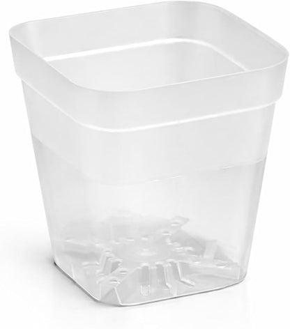60 Pcs Clear Square Nursery Pots 4 Inch, Reusable Seedling Pots with Drainage Holes, Transparent Small Plant Potting Pot Containers for Seedlings Microgreens, Flowers, Indoor Gardening