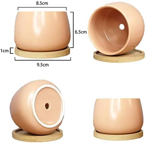 Assorted Blue Pink Yellow Round Ceramic Succulent Pots 3" Planters with Drainage | Bamboo Tray | 3 Pack