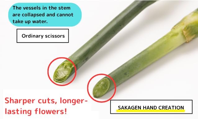 Flower shears - Professional Ultra Sharp Made in JAPAN Garden Scissors SAKAGEN HAND CREATION P-180 (Pink)