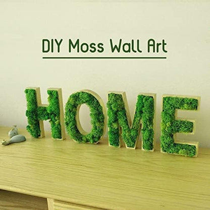 Preserved Reindeer Moss Natural Green DIY Kit Gardenning Art Wall Decor Florist Decor Easter Table Decor Wedding