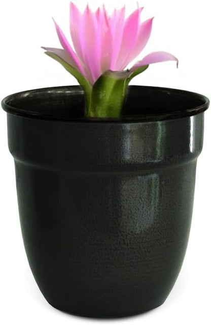 Headwind Glazed Ironstone Boutique Collection Plant Pot Indoor – Mini Venti 5 Inch – Graphite Color Flower Pots for Indoor Plants - Glazed Pots for Plants by Robert Allen