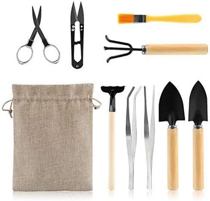 9PCS Basic Bonsai Tools Set, Bonsai Tree Kit Mini Garden Tools Includes Pruning Shears, Mini Rake, Fold Scissors and More