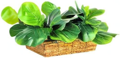 15 Inch Fiddle Leaf Fig Tree in Woven Basket - Low Maintenance Indoor & Outdoor Faux Plants for Living Rooms, Offices, Kitchens & Outdoor Spaces