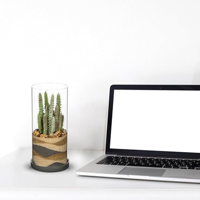 Artificial Succulent in Cylindrical Glass Vase Fake Cactus Plant with Modern Glass Terrarium for Home Decor Farmhouse Hostess Gift