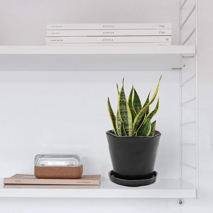 CHIVE ‘Tika’ Ceramic Planter Pot — Large 8" Succulent Pots for Indoor & Outdoor House Plants — Cute, Beautiful Modern Farmhouse Kitchen Decor — Black