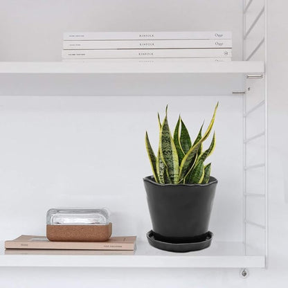 CHIVE ‘Tika’ Ceramic Planter Pot — Large 8" Succulent Pots for Indoor & Outdoor House Plants — Cute, Beautiful Modern Farmhouse Kitchen Decor — Black