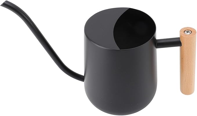 YOUTHINK Stainless Steel Watering Can for Indoor Plants, Modern Decorative Watering Pot with Long Spout 1000ml for Houseplant Office Potted Plants